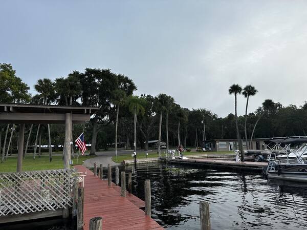 King Bed Studio Photo 2